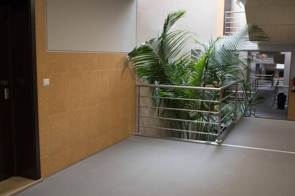 Bay Residence Apartamento - Piscina Сао Мартино до Порто Екстериор снимка